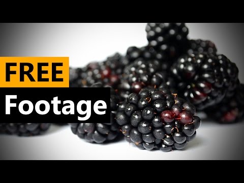 Blackberries-2