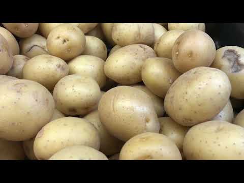 Kartoffeln-3