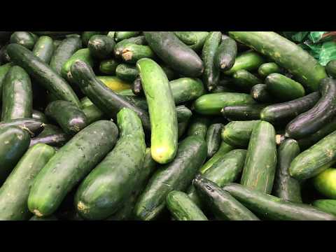 Cucumbers-2