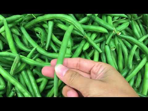 Green Beans-2