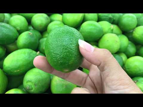 Limes-2