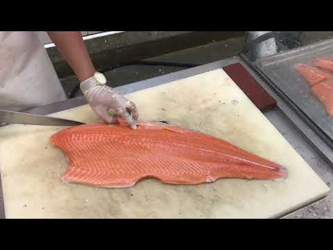 Salmon-2